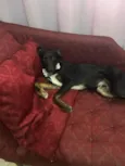 ARTHUR