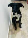 ARTHUR