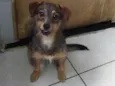 PITICO