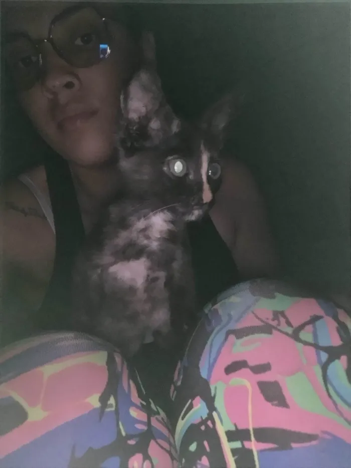 Gato ra a SRD-ViraLata idade 2 a 6 meses nome Não dei nome 