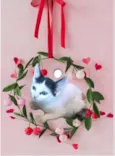 Mio bb2meses Linda