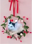 Mio bb2meses Linda