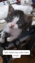 .....