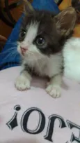 .....