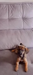Paçoca 