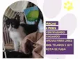 Fígaro