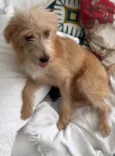 Zoe
