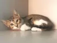 Mirna