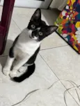 Lupita
