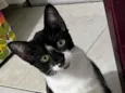 Lupita