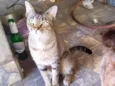 Zara e Zelda