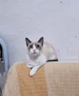 JONNY