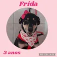 Frida
