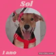 Sol