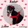 Lola