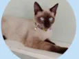 Tony