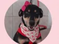 Frida