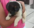 Sem nome