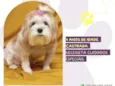 Cristal