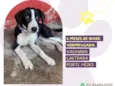 Princesa