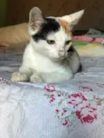 Mia