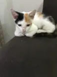 Mia