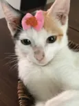 Mia