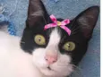 Minnie 