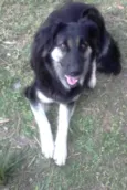 KIRA