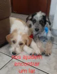 Juca & Joca