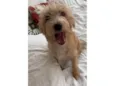 Zoe