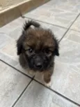 Gina
