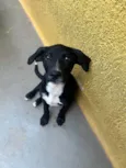 Miguel