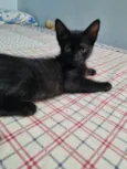 Princesa de Ébano