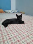 Princesa de Ébano