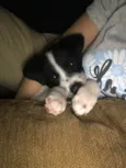 Ralph
