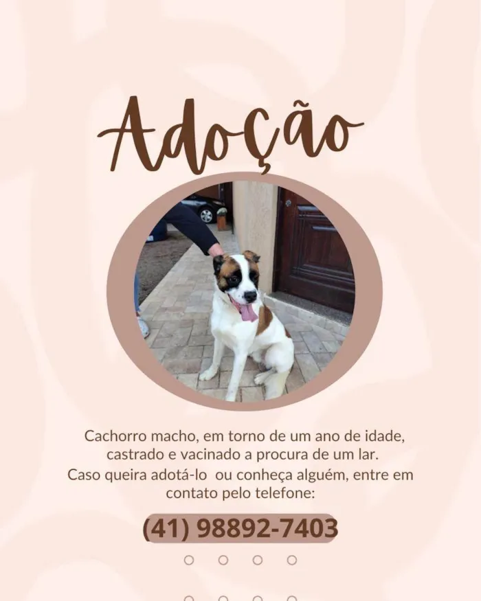 Cachorro ra a SRD-ViraLata idade Abaixo de 2 meses nome Pretinha