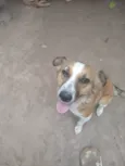 Mel