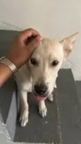 Marley 