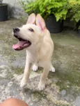 Marley 