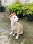 Marley