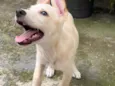 Marley 
