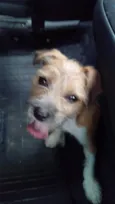 Mel