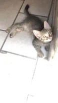 Lilica