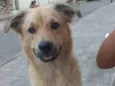 Thori