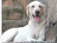 Lupita