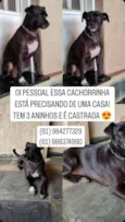 Atena