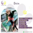 Bela 