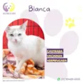 Blanca