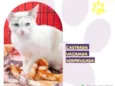 Blanca
